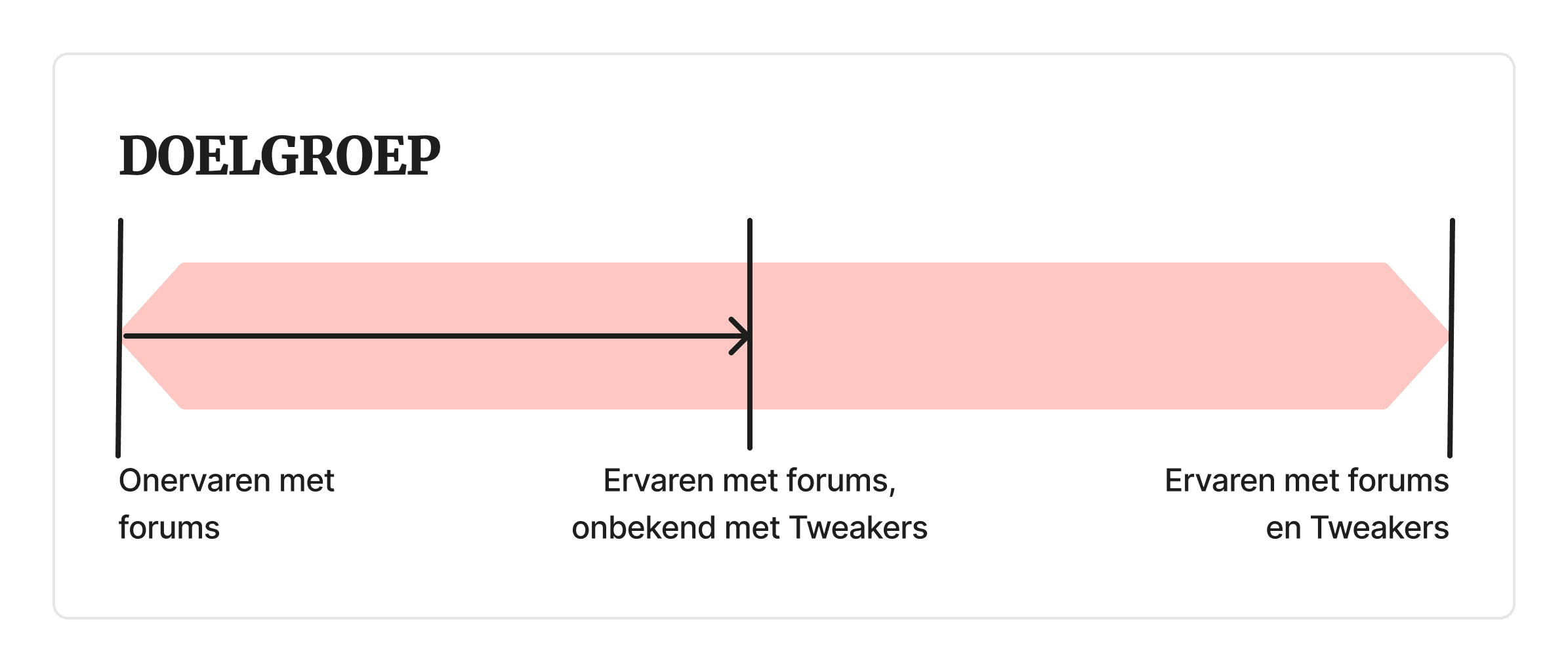 A persona representing the target audience for the Tweakers AI search assistant